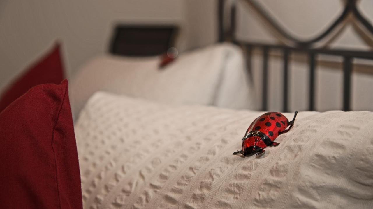 Conny'S B&B Niederweningen Экстерьер фото